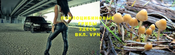 марки nbome Богородицк